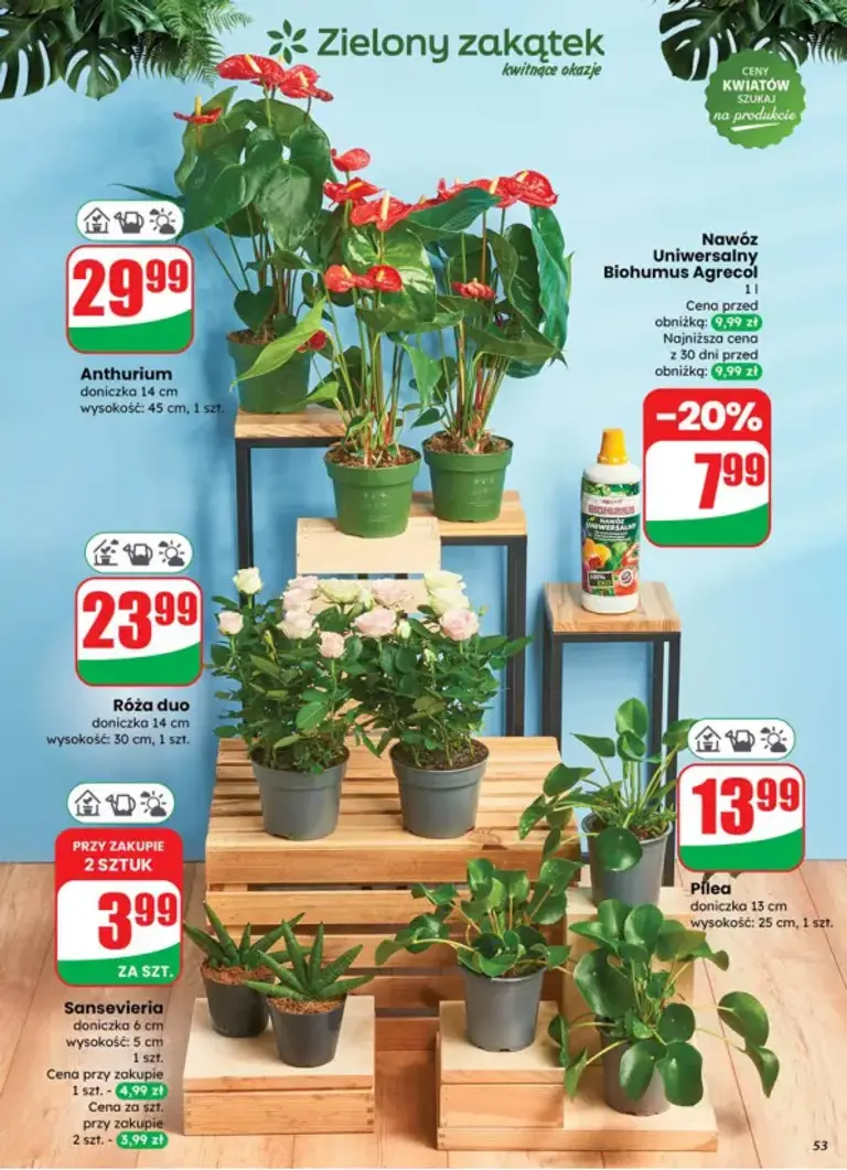 Gazetka Dino - Seite 53 von 70