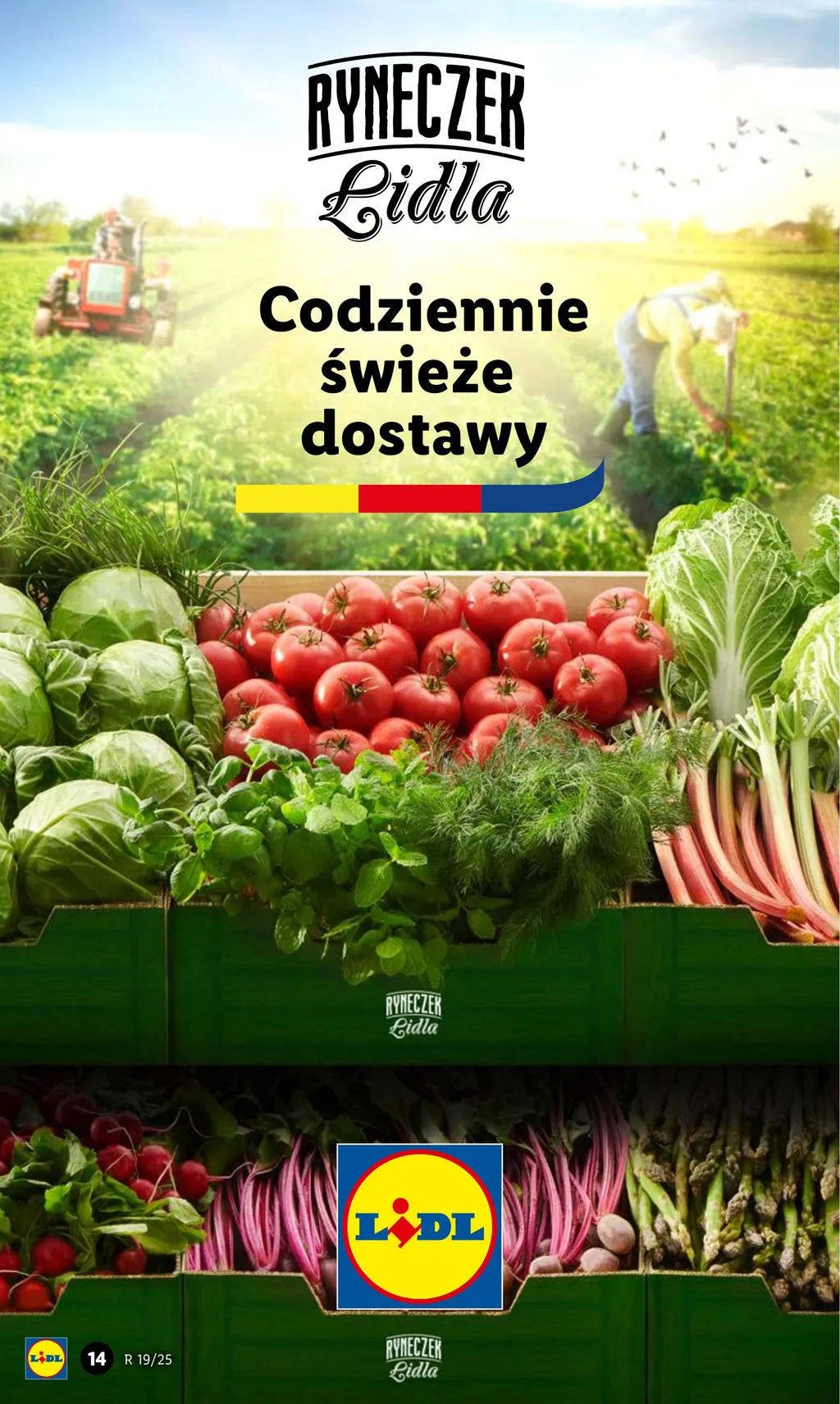 Lidl Gazetka