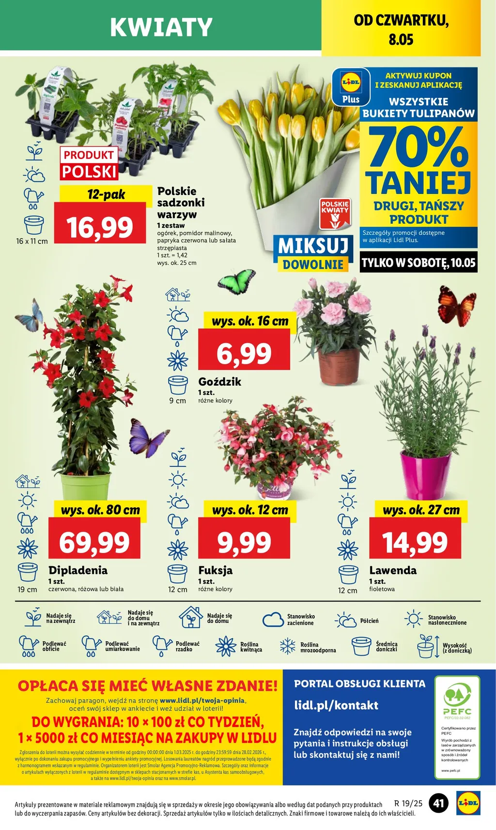 Lidl Gazetka
