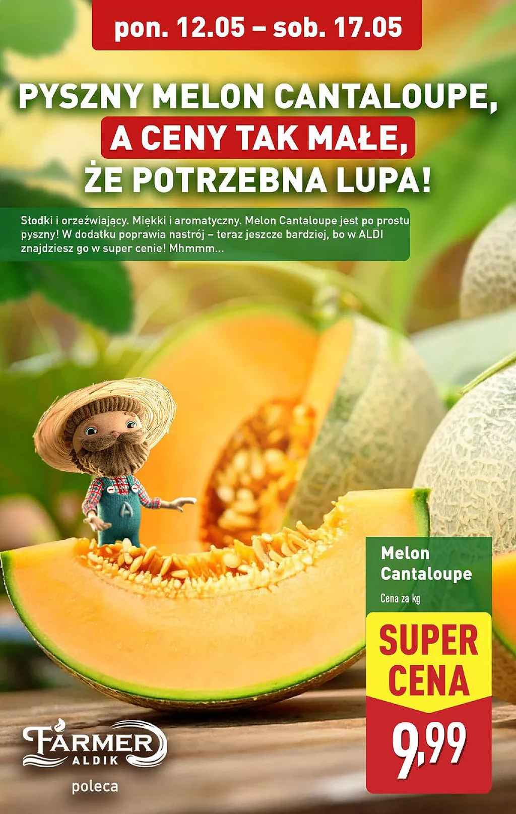 ALDI ulotka