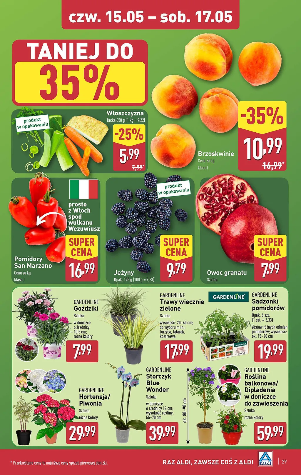 ALDI ulotka