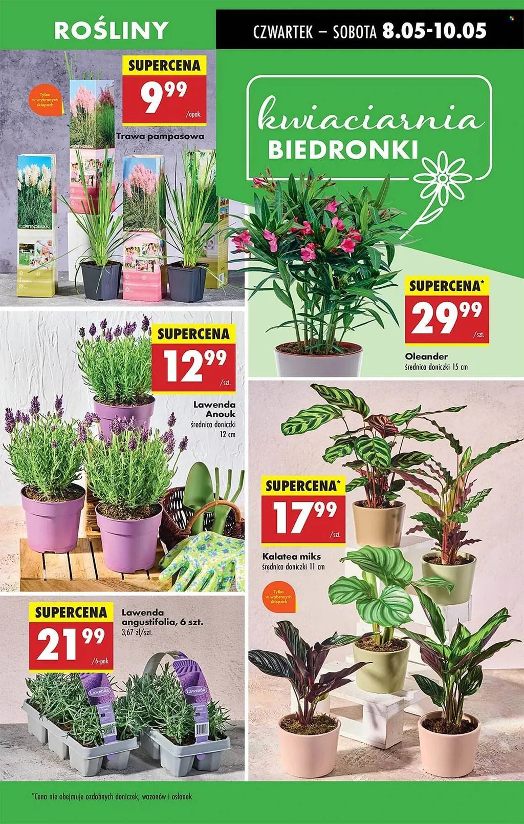 Biedronka Ulotka