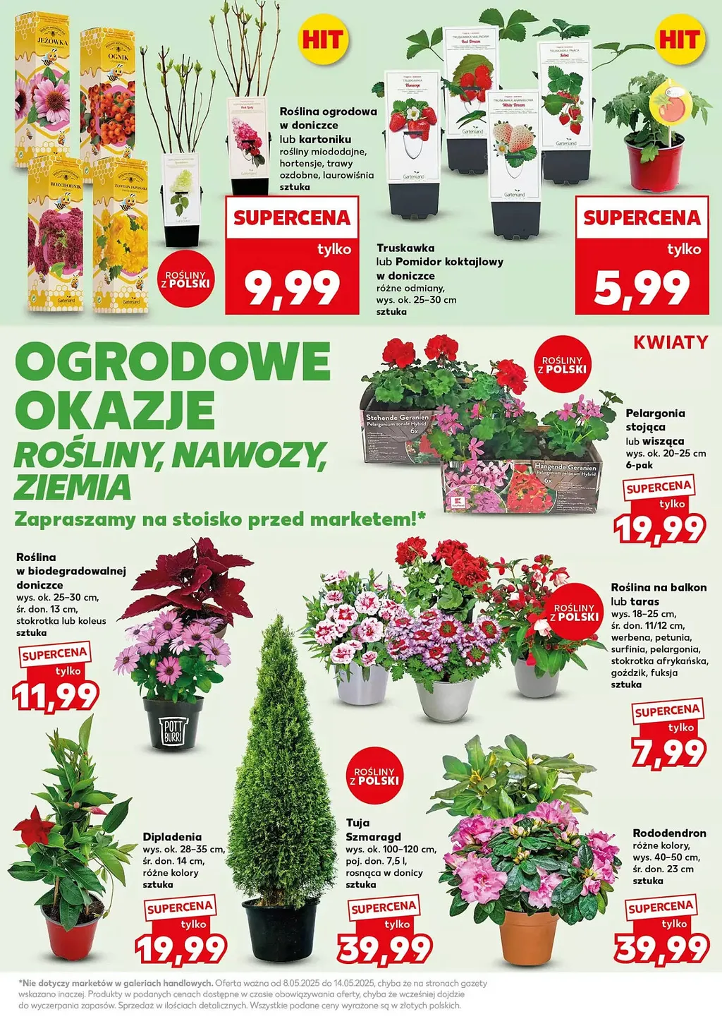Kaufland Mocny Start Gazetka