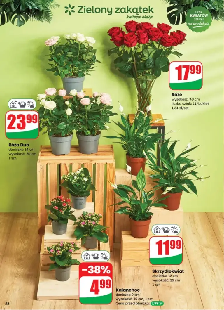 Gazetka Dino - Seite 58 von 76