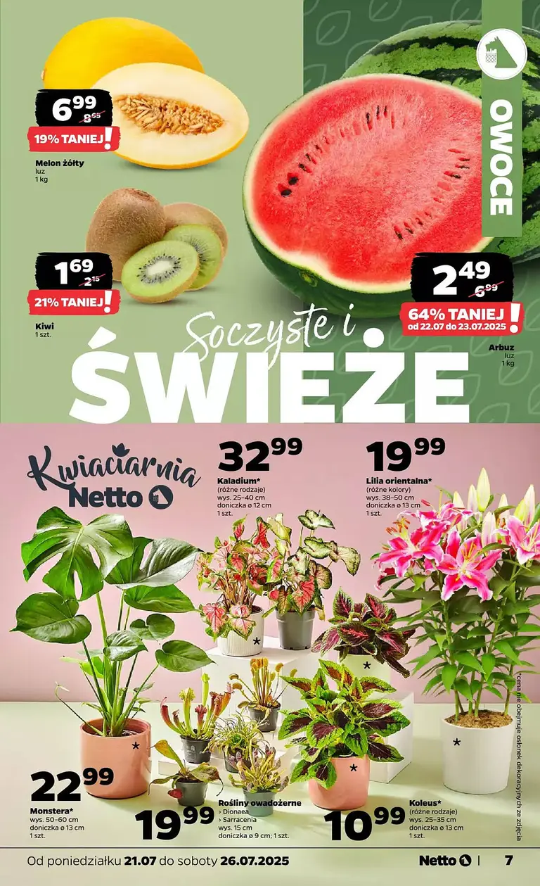 Netto Gazetka - Seite 7 von 31