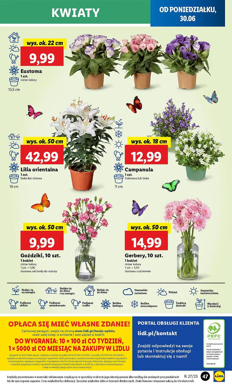 Lidl Gazetka - Seite 46 von 59
