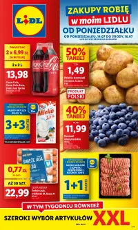 Lidl Gazetka