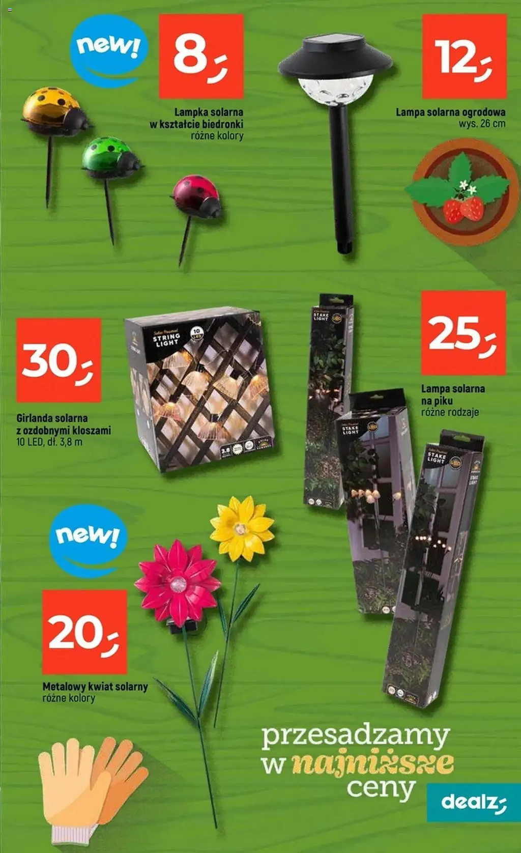 Dealz Gazetka