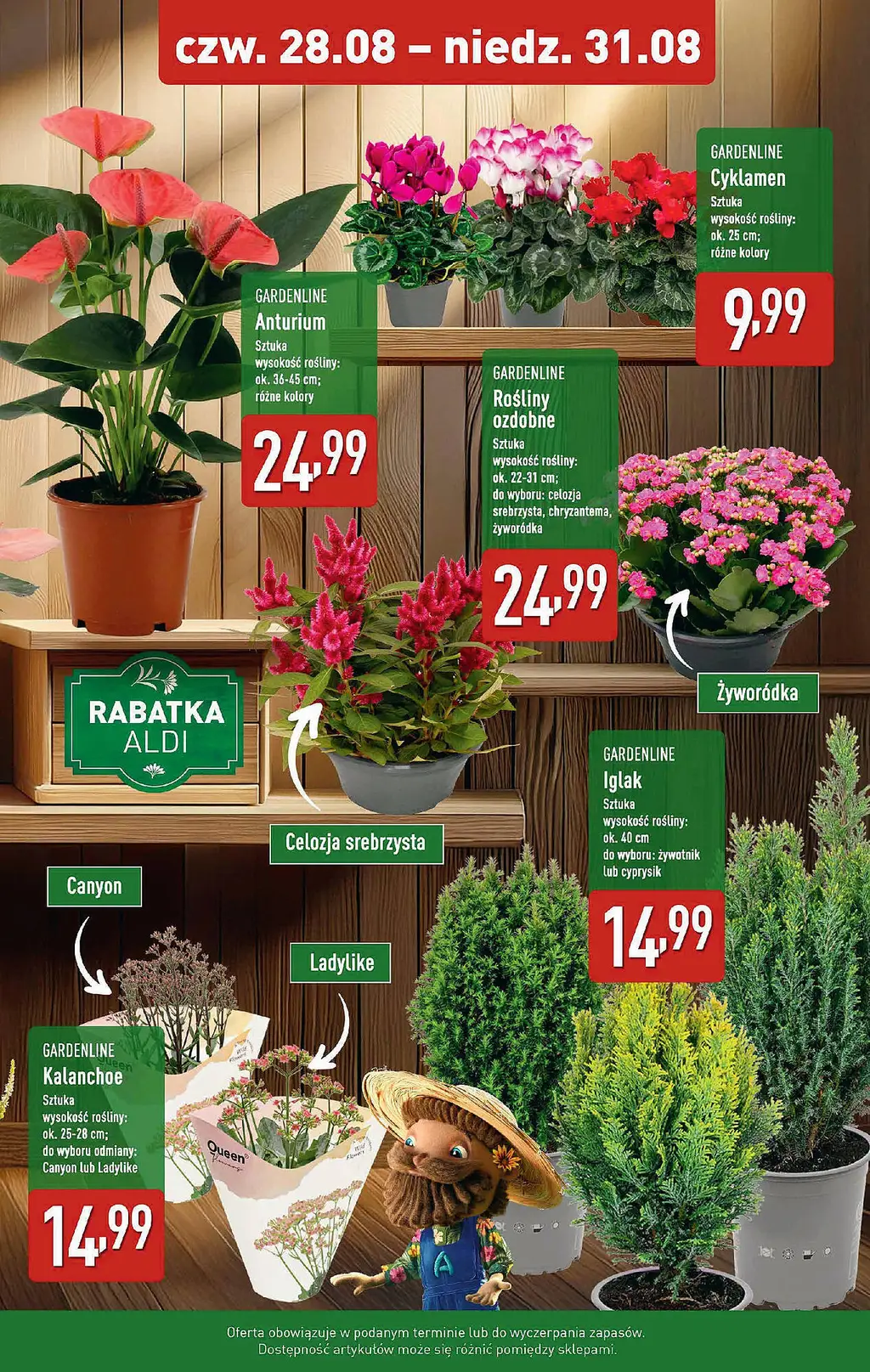 ALDI Gazetka od 28 sierpnia 2025 Weekendowe Super Ceny w Aldi - Strona 1