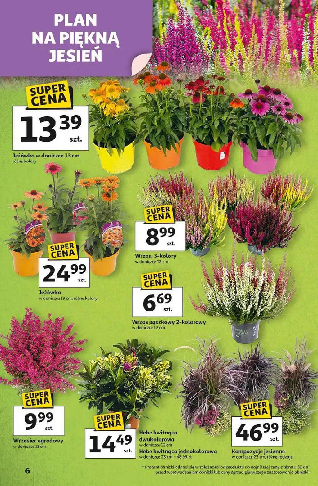 Auchan Gazetka od 4 września 2025 - Strona 6
