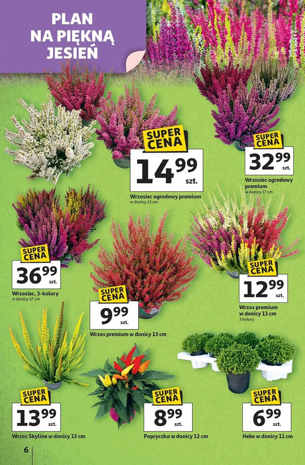 Auchan Gazetka od 11.09.2025 - Strona 5