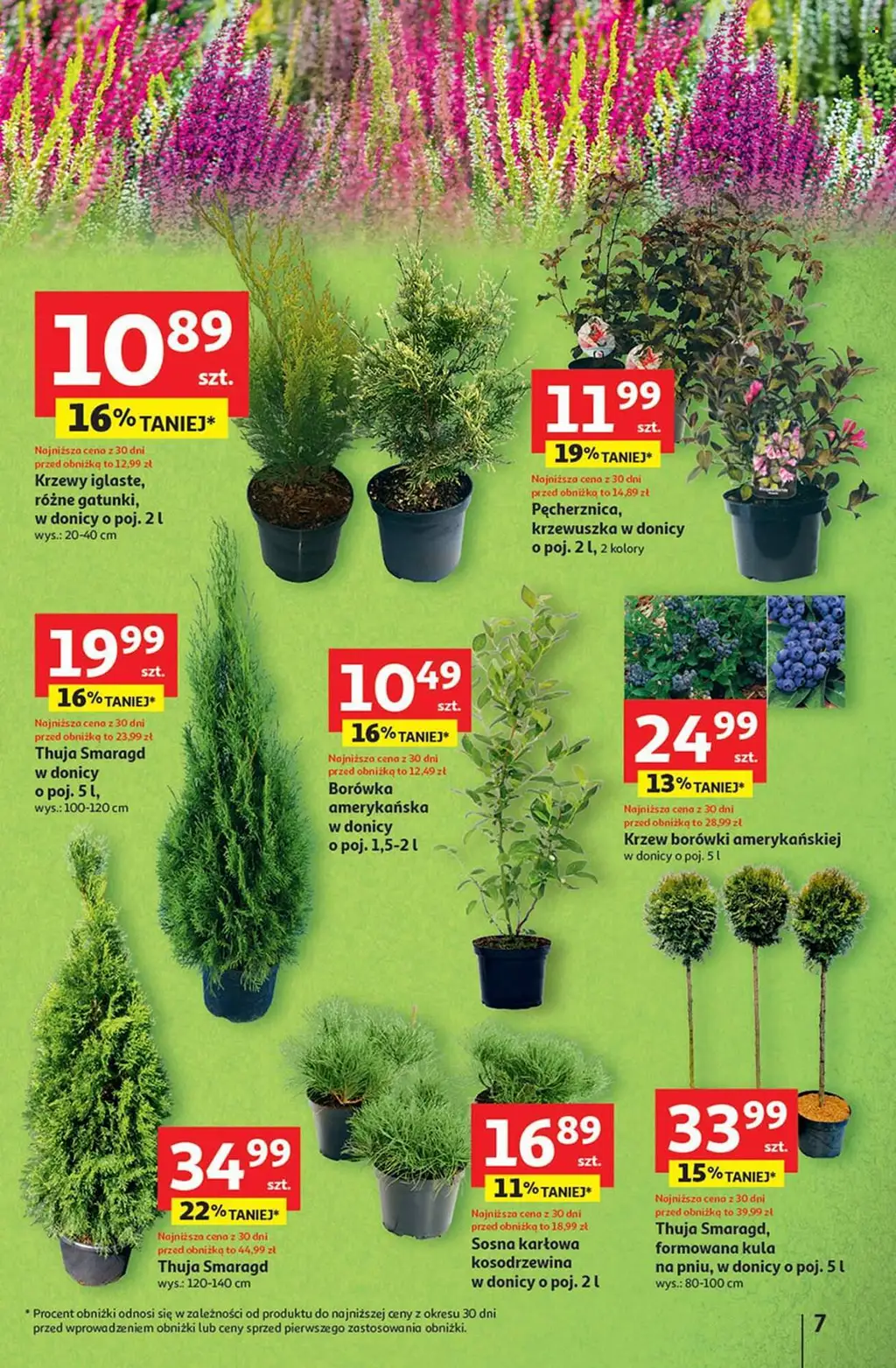 Auchan Gazetka od 11.09.2025 - Strona 1