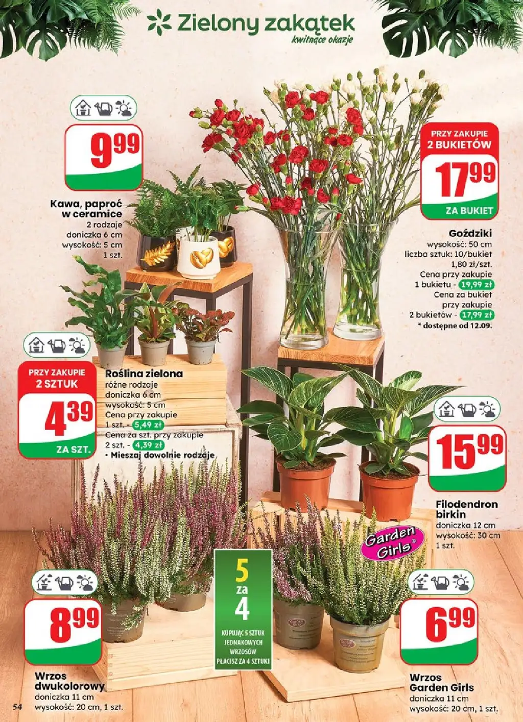 Dino Gazetka od 10.09.2025 - Strona 5