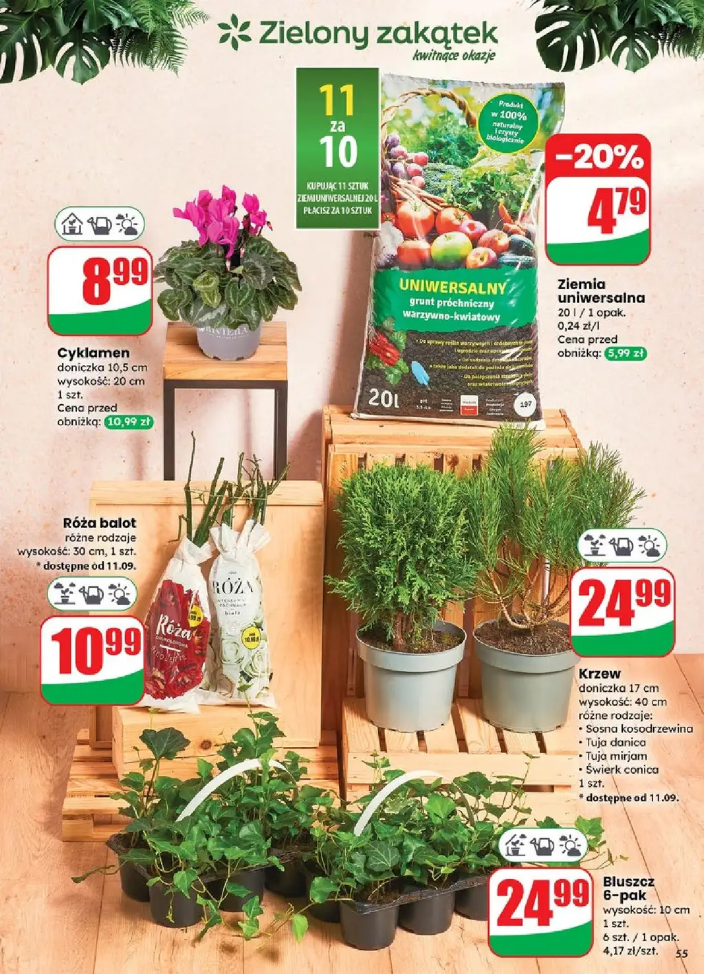 Dino Gazetka od 10.09.2025 - Strona 1