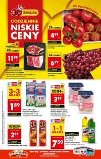 Biedronka Gazetka