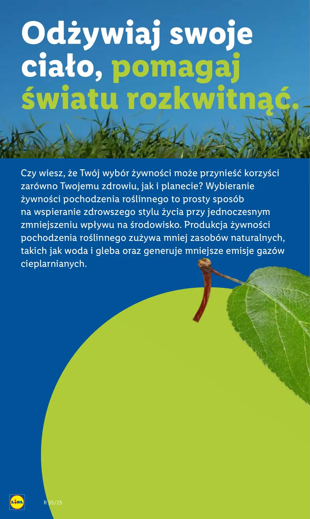 Katalog Okazji Lidl od 25.08.2025 (poniedziałek) - Strona 4