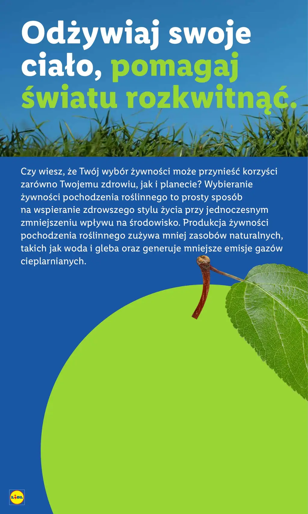 Lidl Gazetka od 28.08.2025 (czwartek) - Strona 2