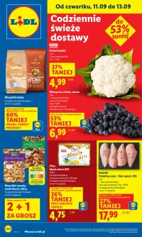 Lidl Gazetka od 11.09.2025 (czwartek)